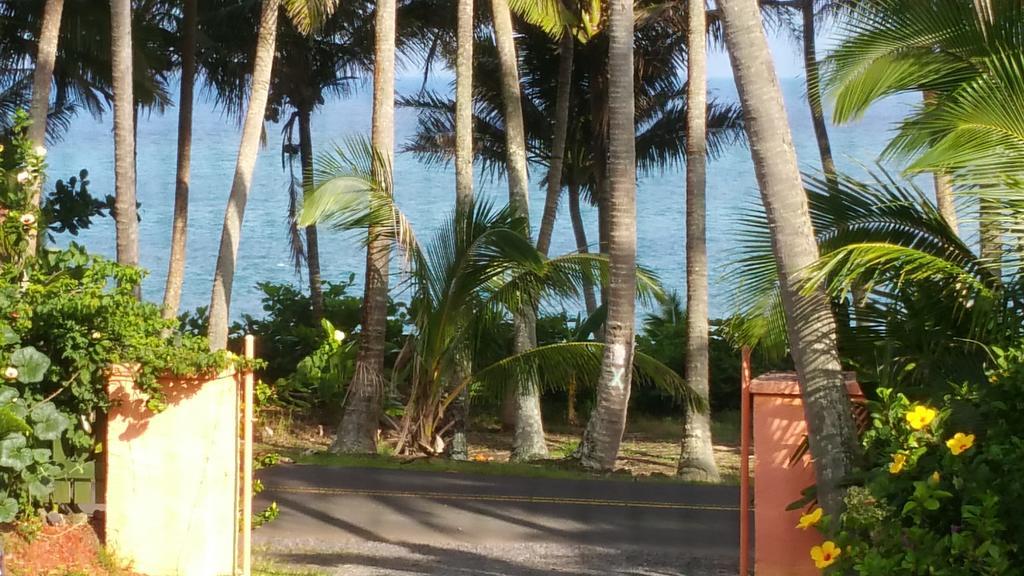 Whale House At Kehena Beach Pahoa Cameră foto