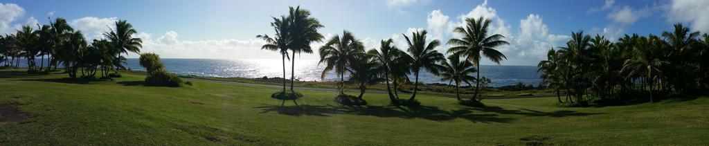 Whale House At Kehena Beach Pahoa Cameră foto