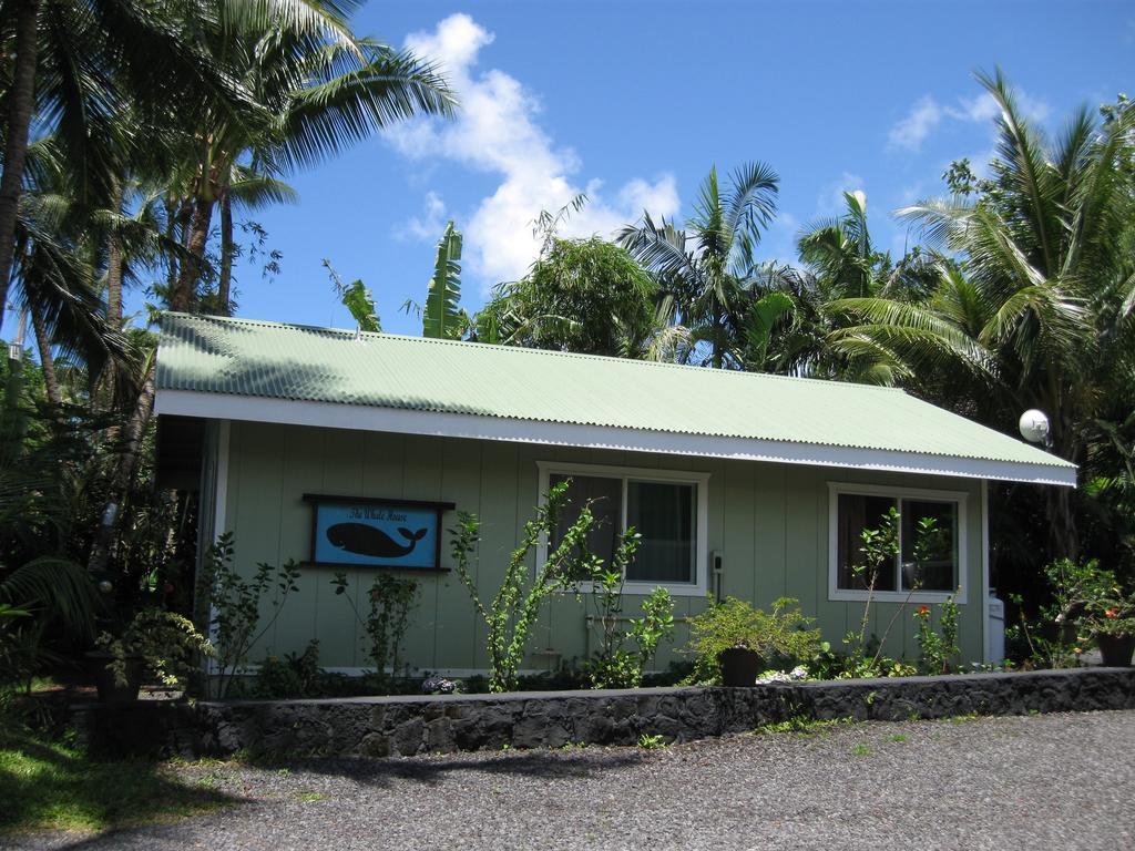 Whale House At Kehena Beach Pahoa Cameră foto