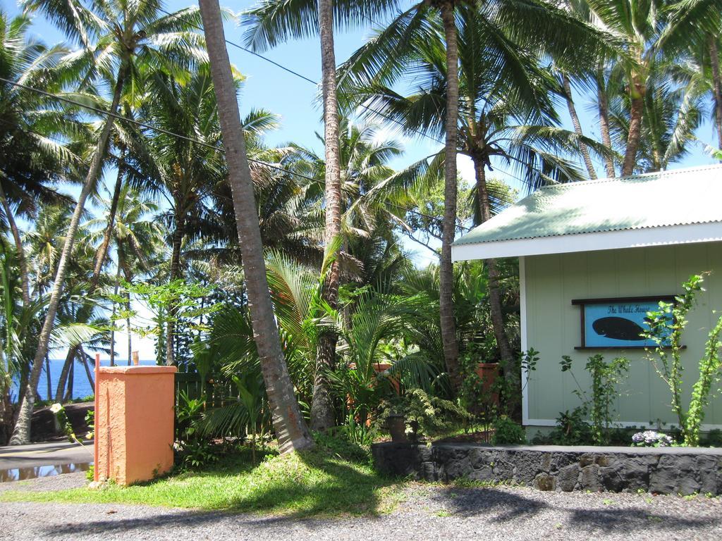 Whale House At Kehena Beach Pahoa Cameră foto
