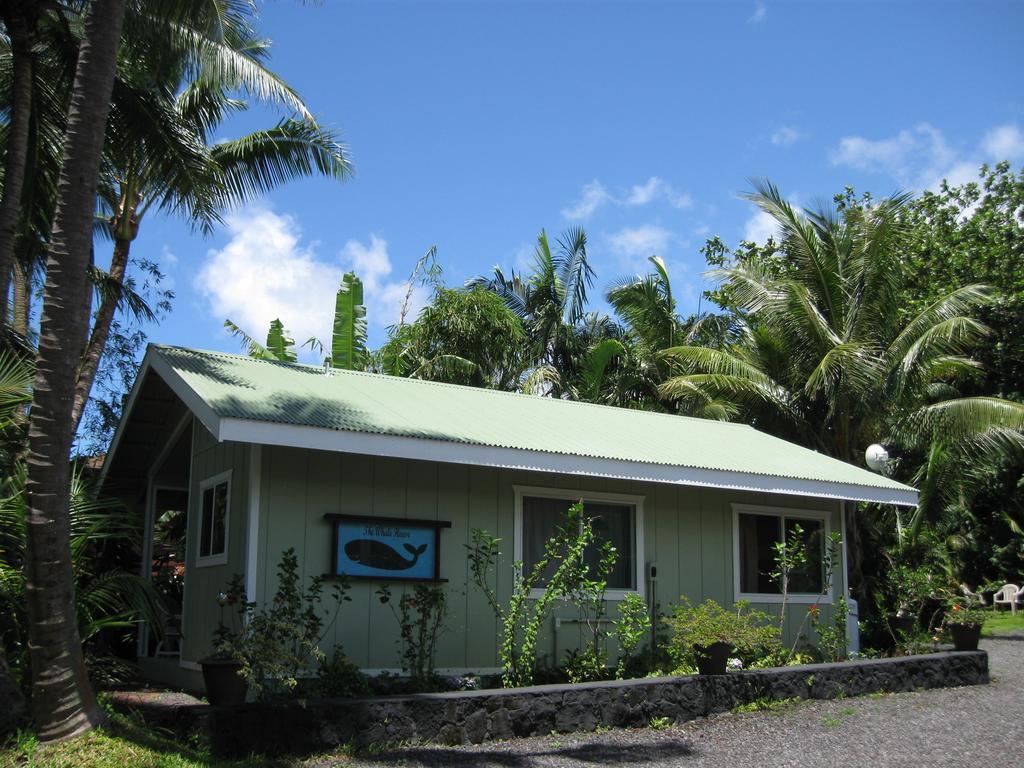 Whale House At Kehena Beach Pahoa Cameră foto